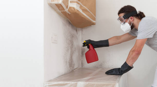Professional Mold Cleanup technician working in Ludington, MI