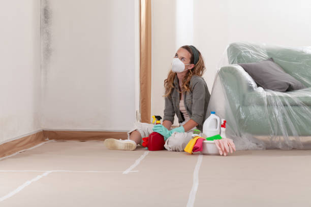 Reliable Mold Cleanup contractor in Ludington, MI by WQB Mold Removal